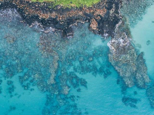 Hawaii View IV