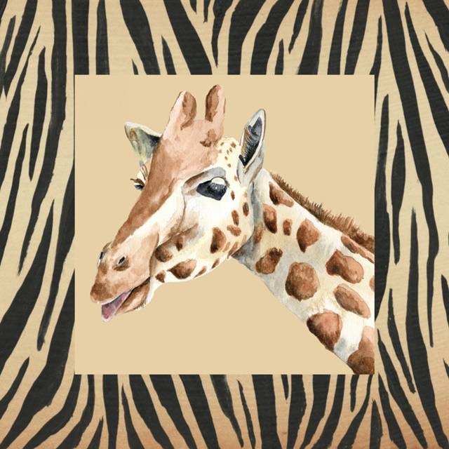 Safari II