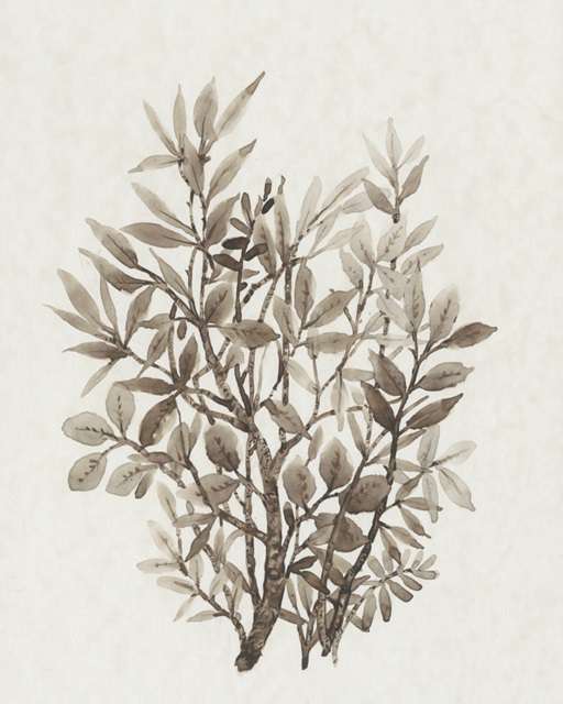 Leaf Arrangement 4