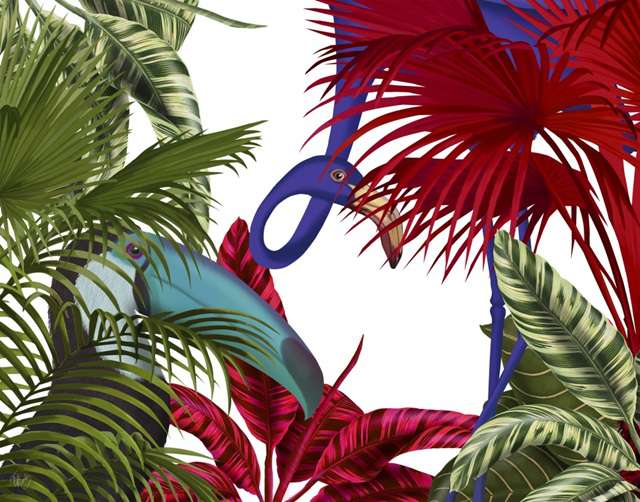 Toucan And Flamingo