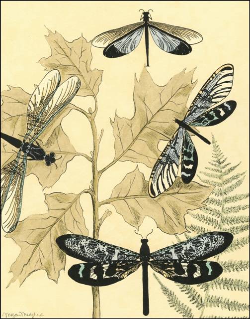 Spa Dragonflies in Nature I