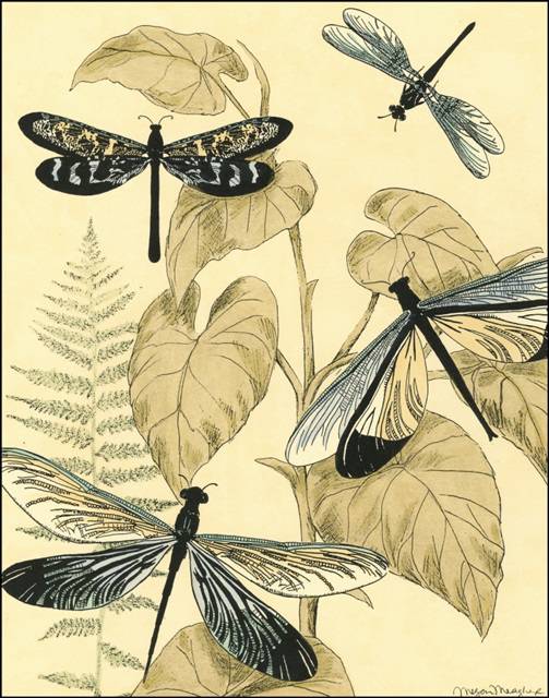 Spa Dragonflies in Nature II