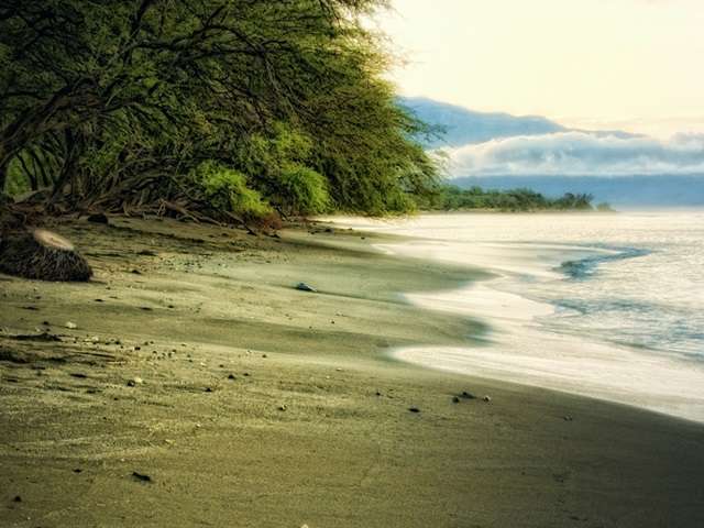 Lonely Beach