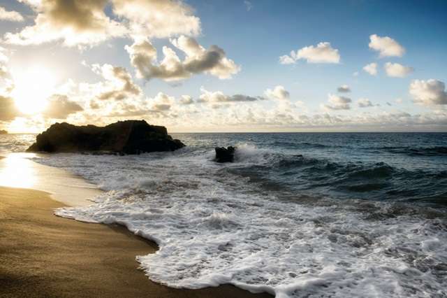 Pounding Surf