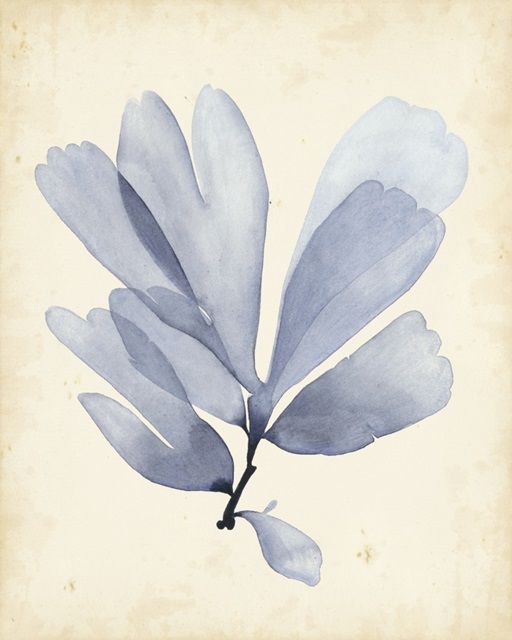 Watercolor Sea Grass II