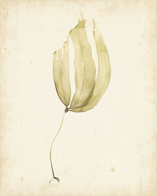 Watercolor Sea Grass III