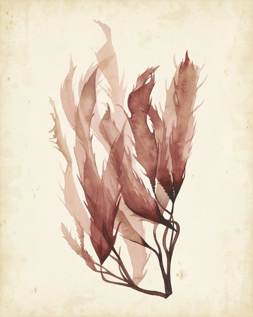 Watercolor Sea Grass IV