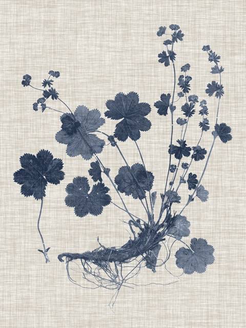 Navy & Linen Leaves I
