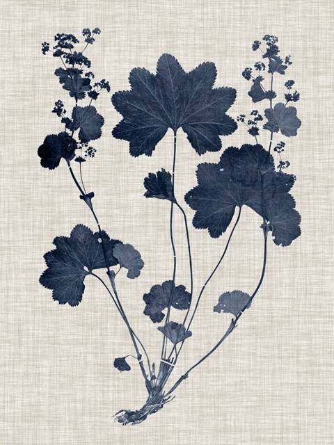 Navy & Linen Leaves II
