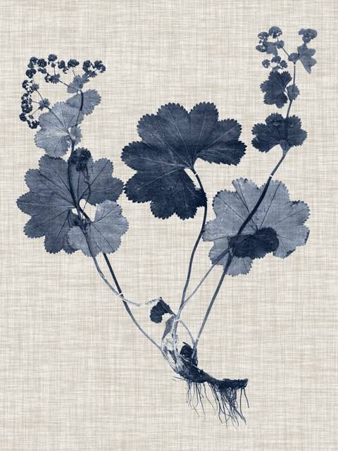 Navy & Linen Leaves III