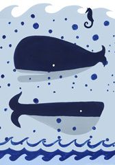 Nautical Explorer Collection C