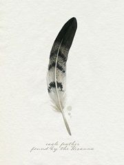 Found Feather I