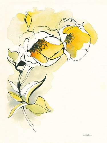Carols Roses 2