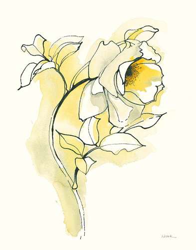 Carols Roses 3