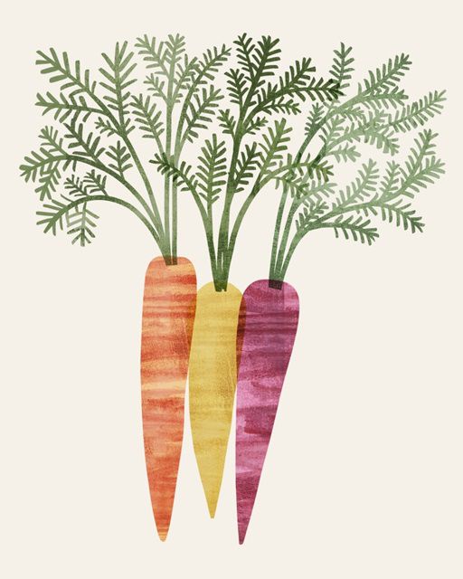 Organic Veg X