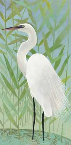 Egret by the Shore 2