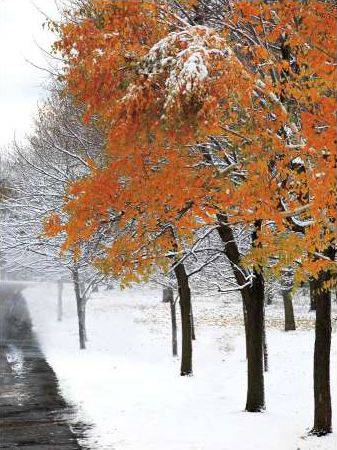 Snowfall 3
