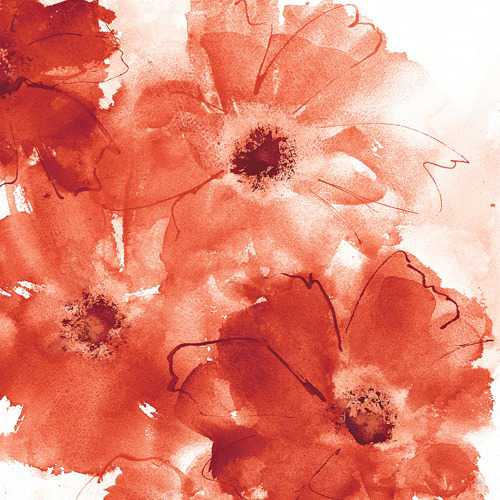 Seashell Cosmos 2 Red and Orange