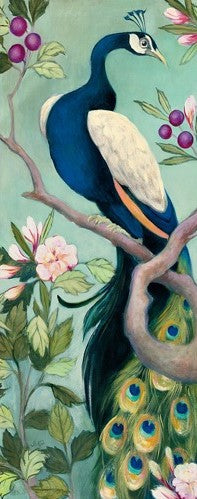 Pretty Peacock 1