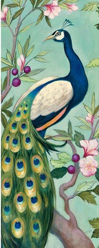 Pretty Peacock 2