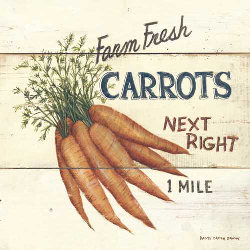 Farm Fresh Carrots