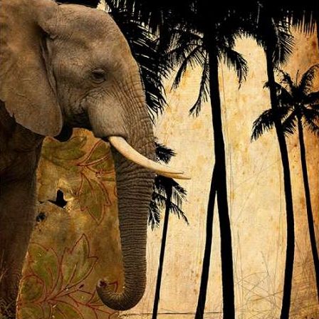 Mighty Elephant 1