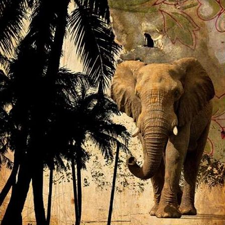 Mighty Elephant 2