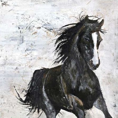 Wild Horse 1
