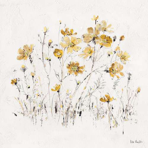 Wildflowers 2