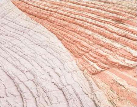 Coyote Buttes 6 Blush Orange Crop