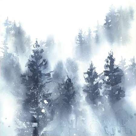 Misty Forest 2