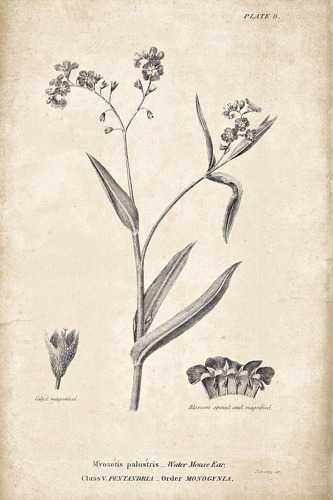 Conversations on Botany 01