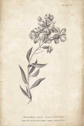 Conversations on Botany 06