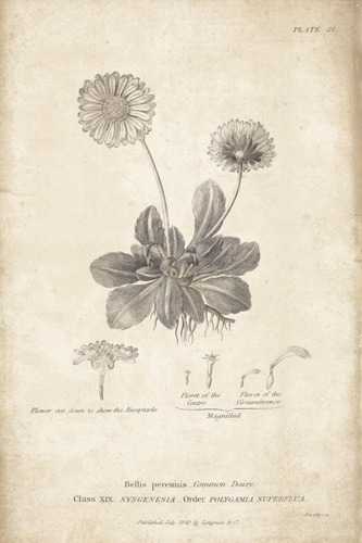 Conversations on Botany 09