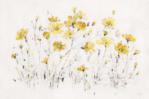 Wildflowers 1