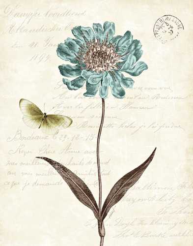 Slated Blue 4