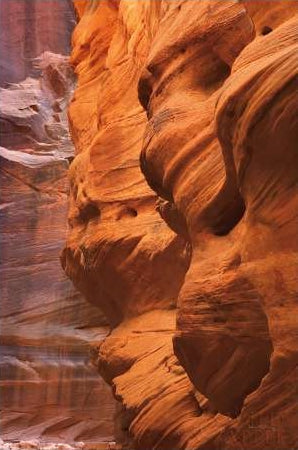 Buckskin Gulch 3
