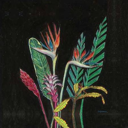 Dark Tropical 1