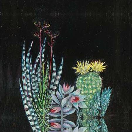 Dark Tropical 2