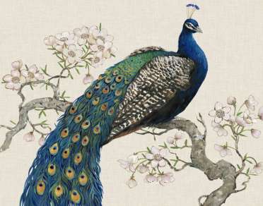 Peacock & Blossoms 1