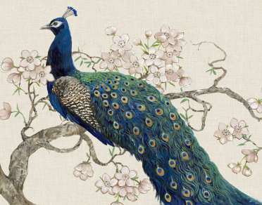 Peacock & Blossoms 2