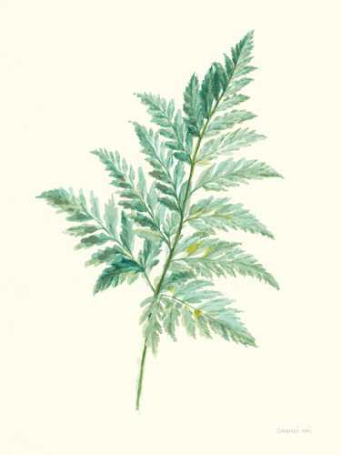 Leaf Study 1