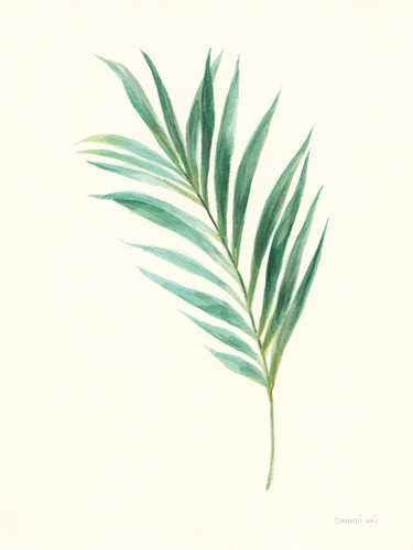 Leaf Study 2