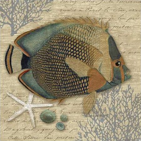 Angelfish I