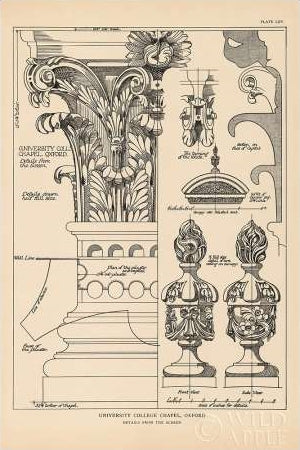 English Renaissance 7