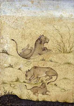 A Family of Lions