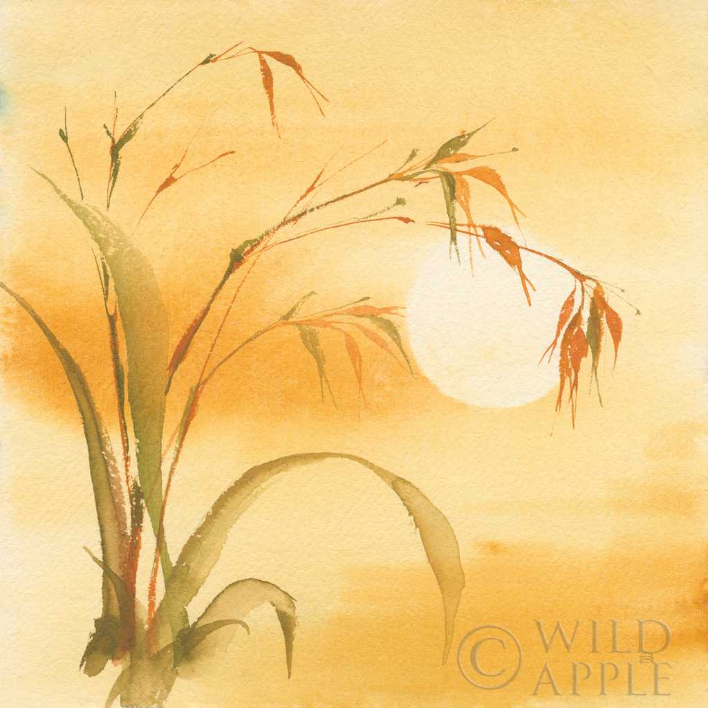 Moon Season Summer