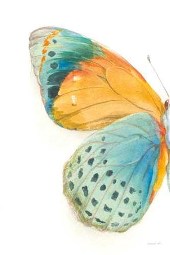 Fragile Wings 1