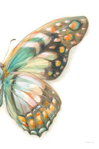 Fragile Wings 2