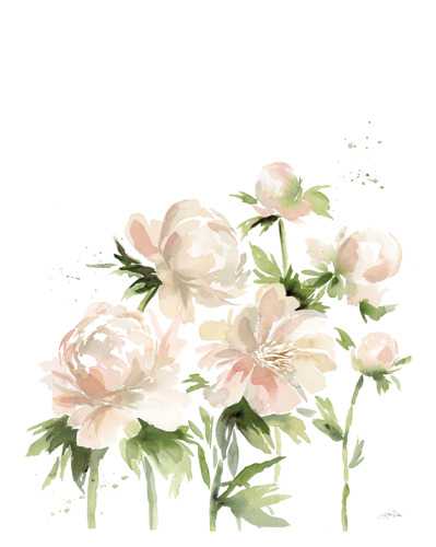 Peonies 1